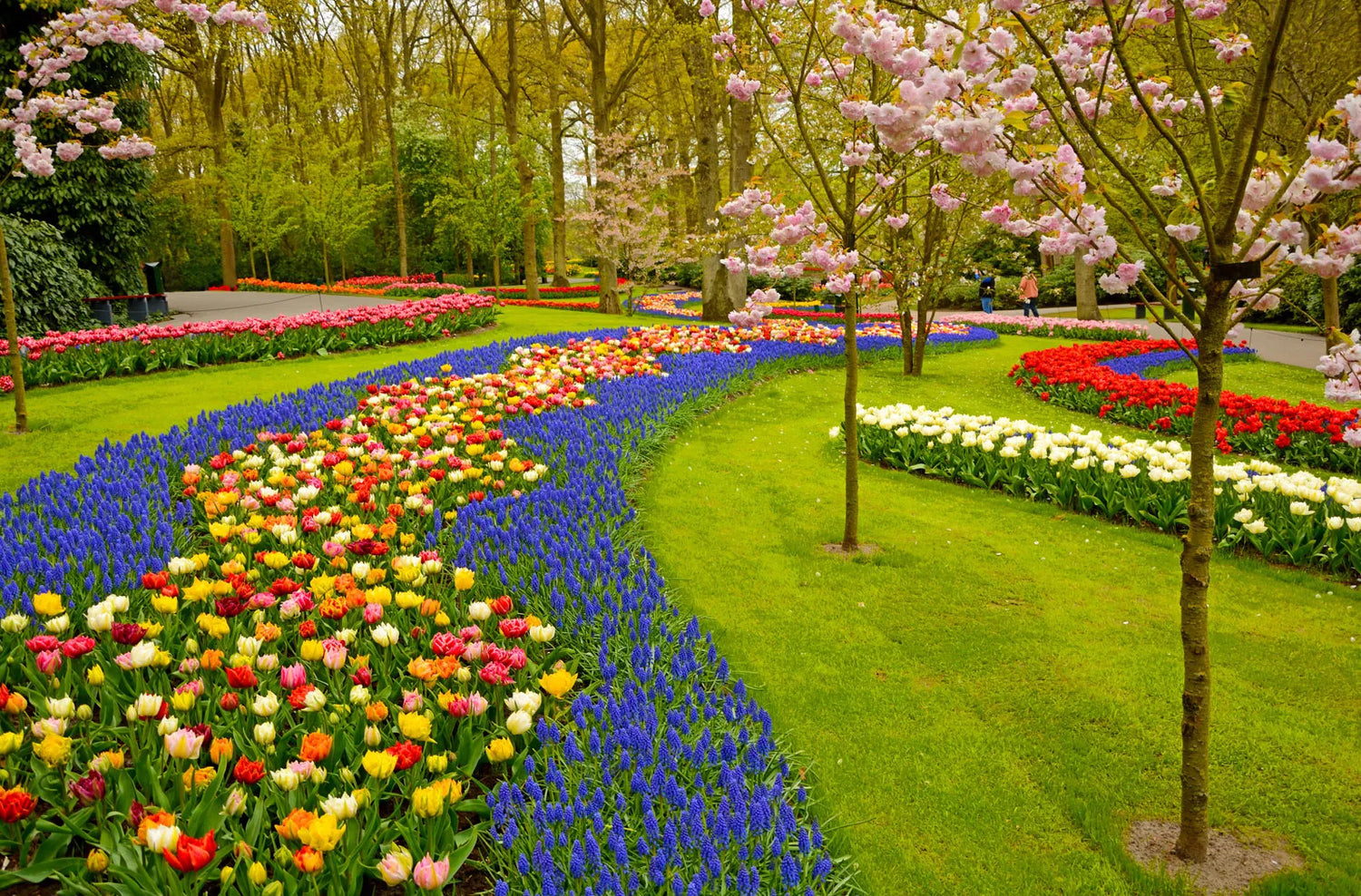 Garden & Outdoor